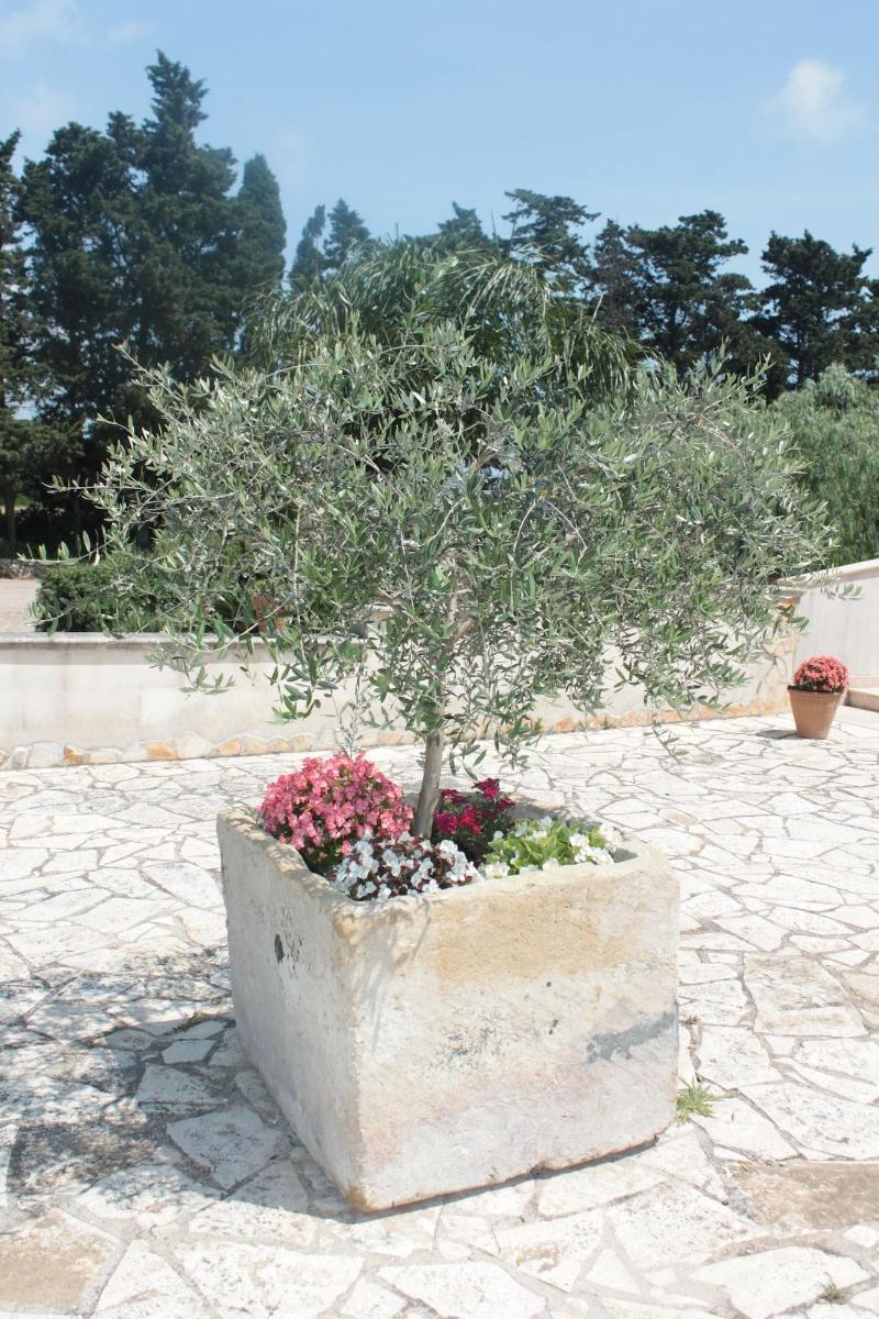 Tenuta Turchi Otranto Eksteriør billede